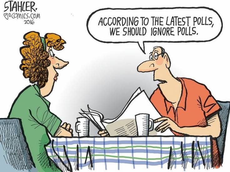 polls