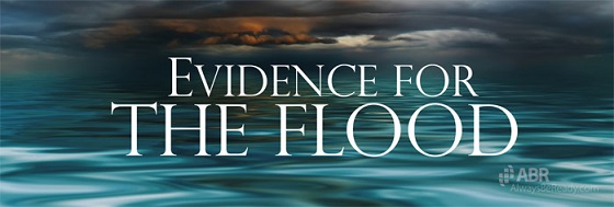 Flood_Evidence_Noah_Ark resized
