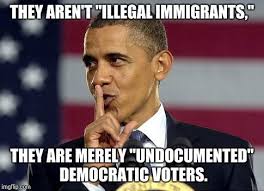 illegal voters