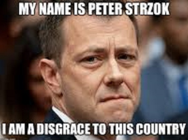 strzok resized and cropped