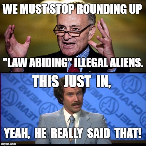 law abiding illegal aliens