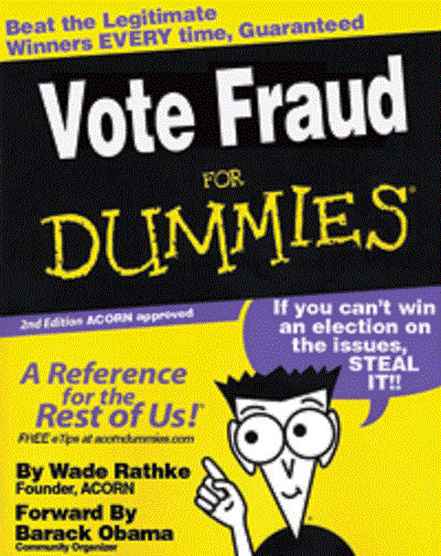 votefraudfordummies resized