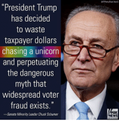 voter fraud schumer