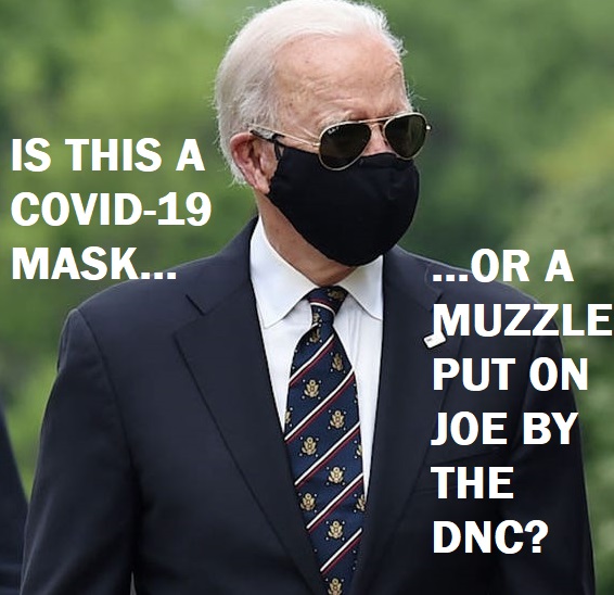 biden mask
